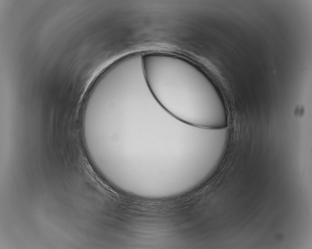 X0000113991364200911131108