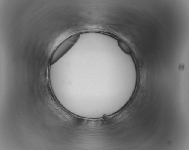 X0000113991365200911131108