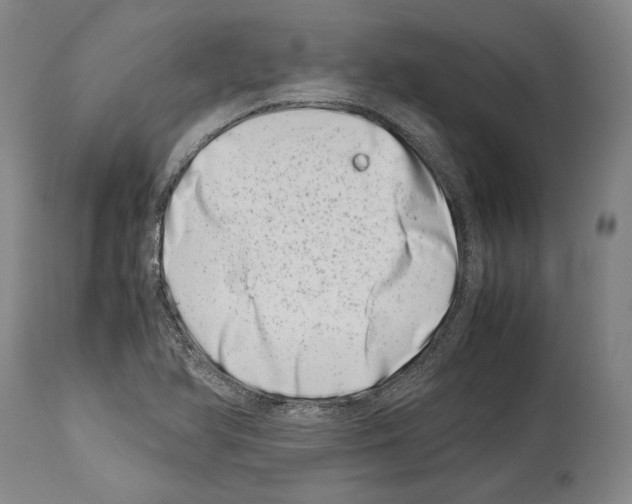 X0000113991366200911131108