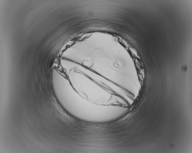 X0000113991369200911131108