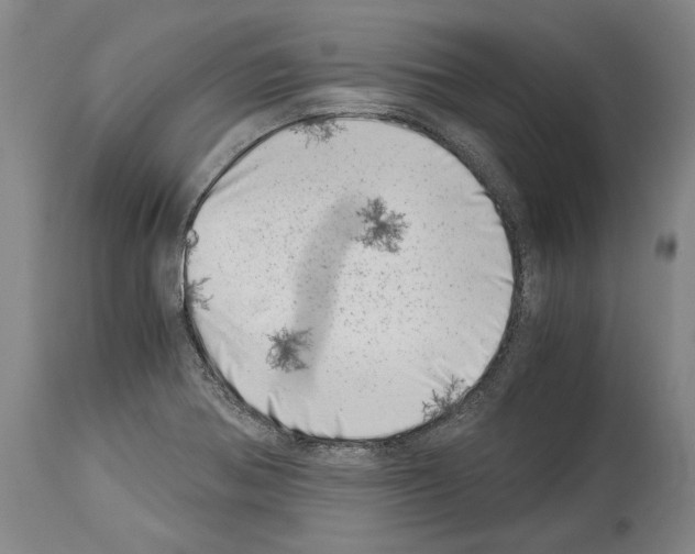 X0000113991370200911131108