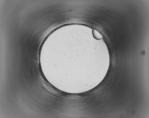 X0000113991372200911131108