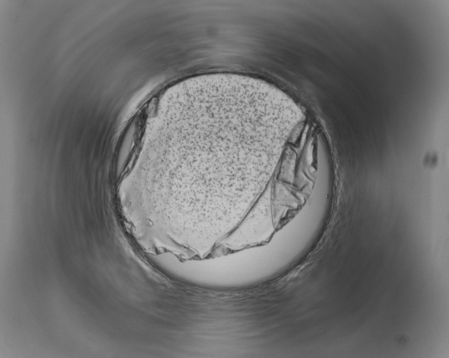 X0000113991373200911131108