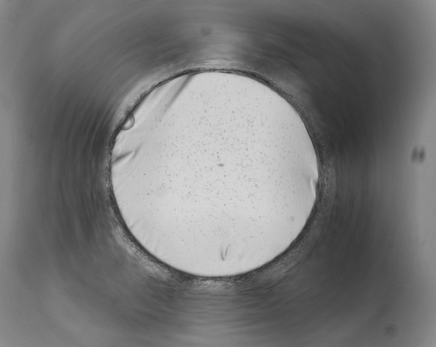 X0000113991374200911131108