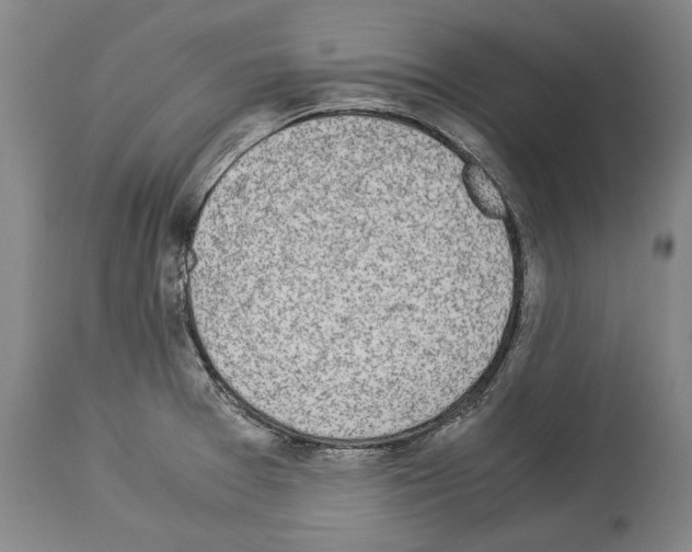 X0000113991377200911131108