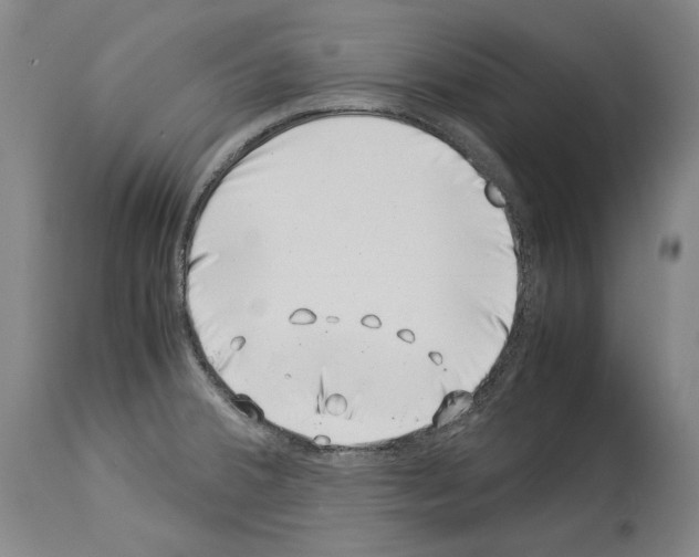 X0000113991380200911131108