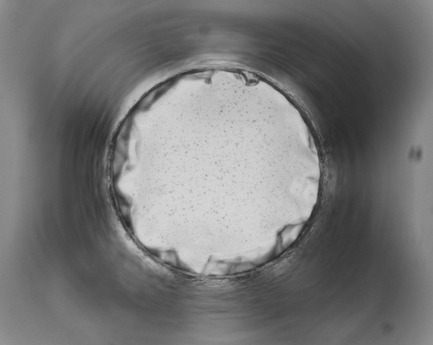 X0000113991382200911131108