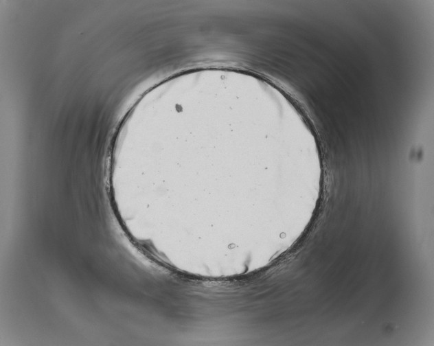 X0000113991383200911131108