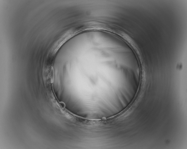 X0000113991385200911131108