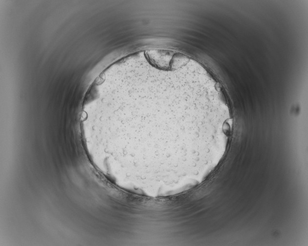 X0000113991386200911131108