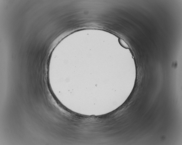 X0000113991387200911131108