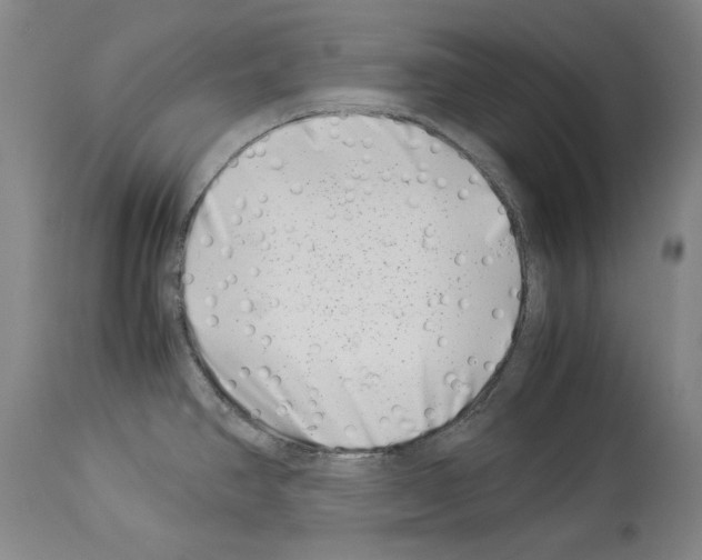 X0000113991390200911131108