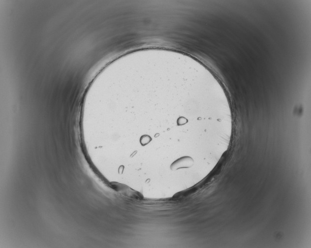 X0000113991391200911131108