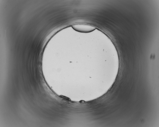 X0000113991392200911131108