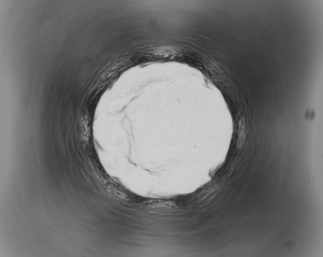 X0000113991394200911131107