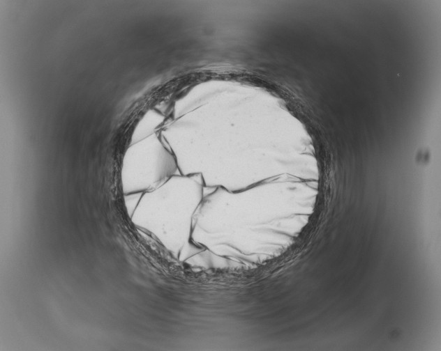 X0000113991398200911131107