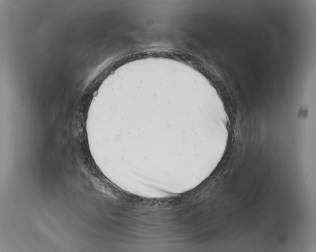 X0000113991400200911131107