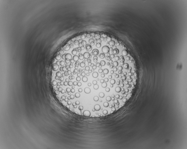 X0000113991404200911131108