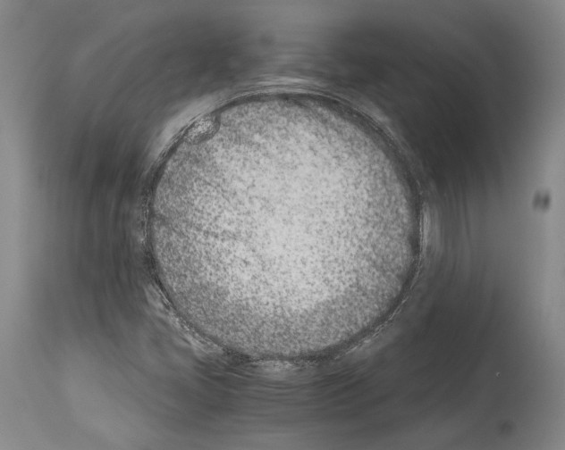 X0000113991405200911131108