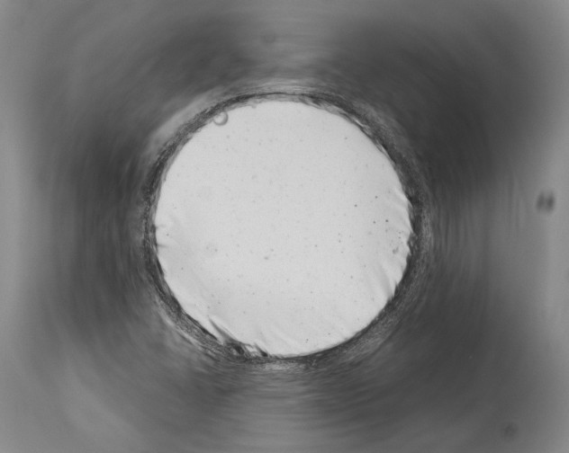 X0000113991406200911131108