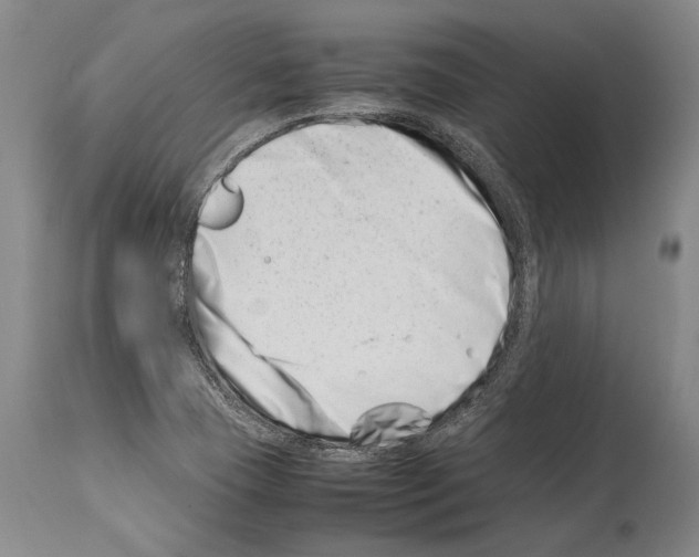 X0000113991409200911131108