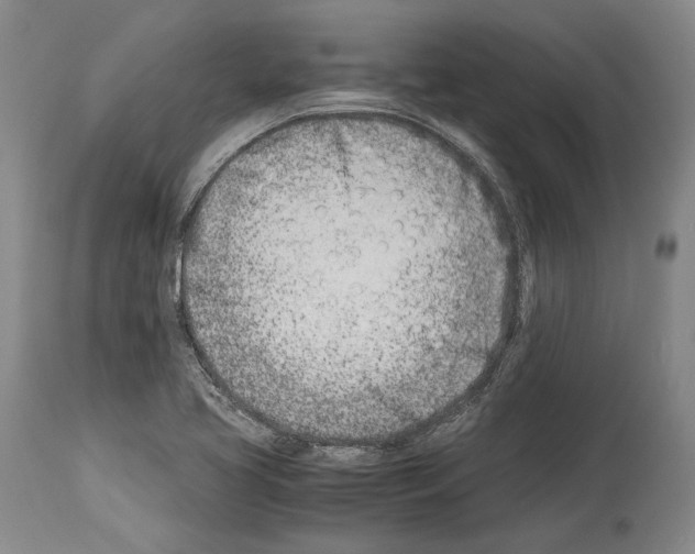 X0000113991413200911131108