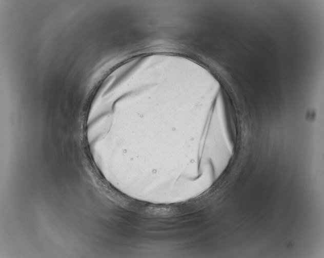 X0000113991415200911131108