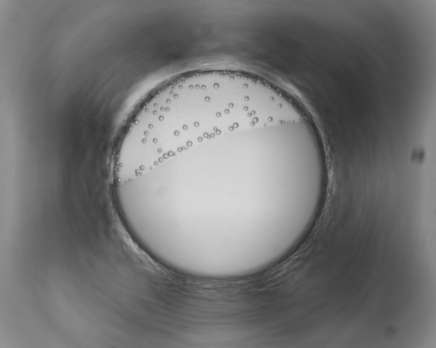 X0000113991416200911131108