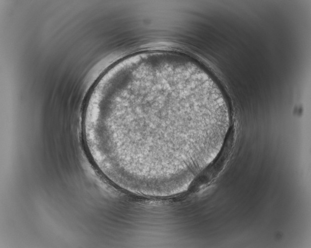 X0000113991418200911131108