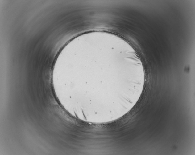 X0000113991420200911131108