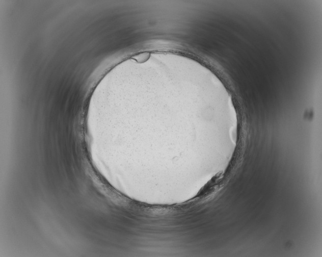 X0000113991421200911131108