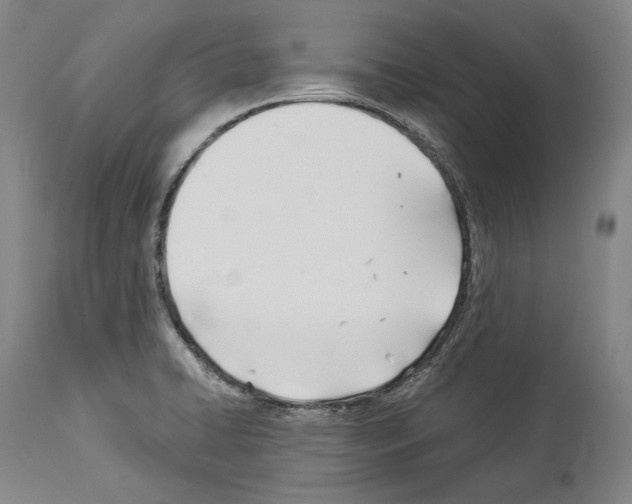 X0000113991422200911131108