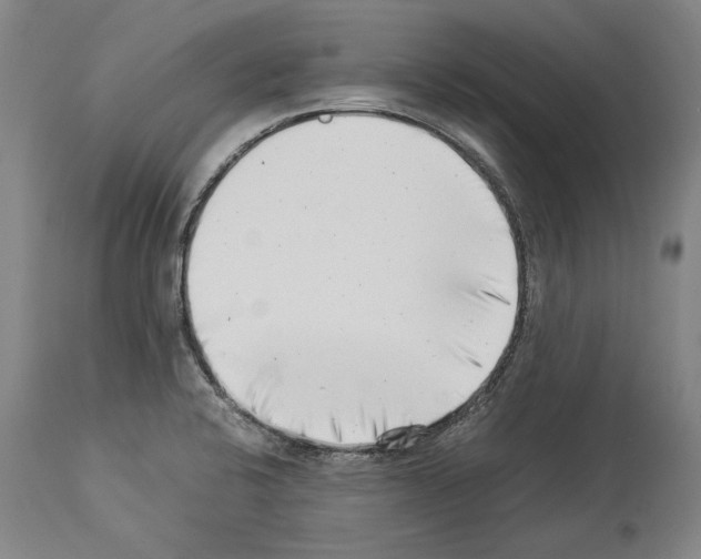 X0000113991424200911131108