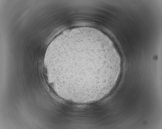 X0000113991425200911131108