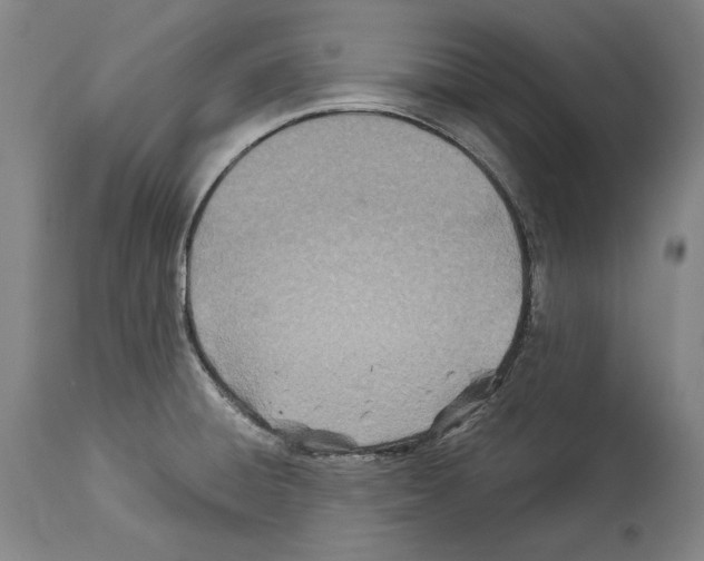 X0000113991428200911131108