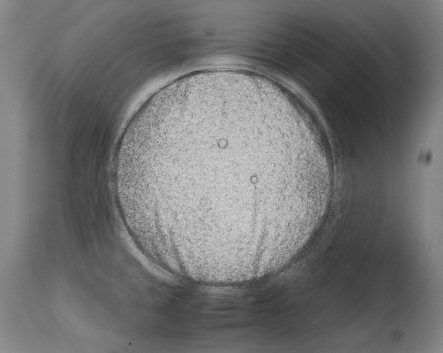 X0000113991429200911131108