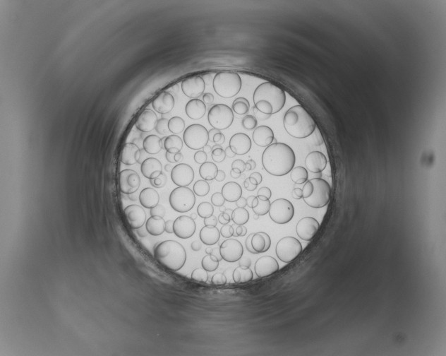 X0000113991432200911131108