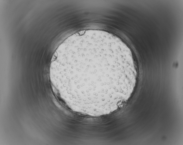 X0000113991433200911131108