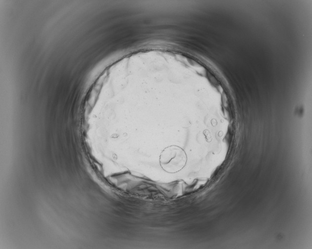 X0000113991437200911131108