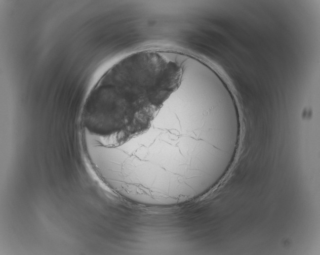 X0000113991440200911131108