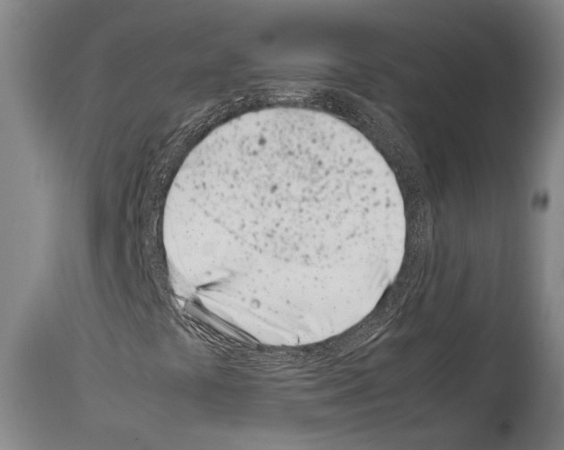 X0000113991441200911131107