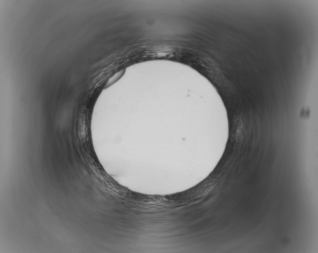 X0000113991442200911131107