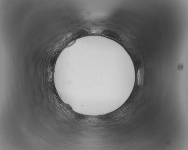 X0000113991443200911131107