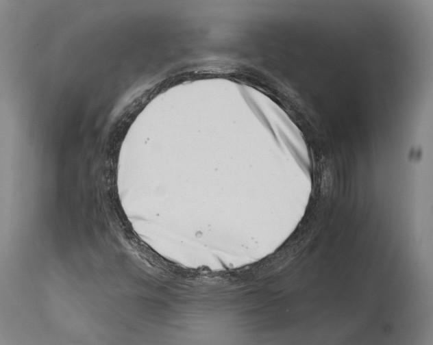 X0000113991448200911131107