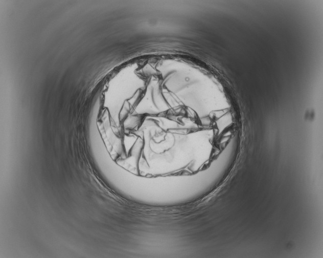 X0000113991449200911131107