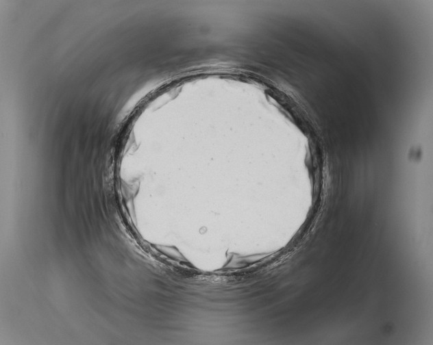 X0000113991450200911131107