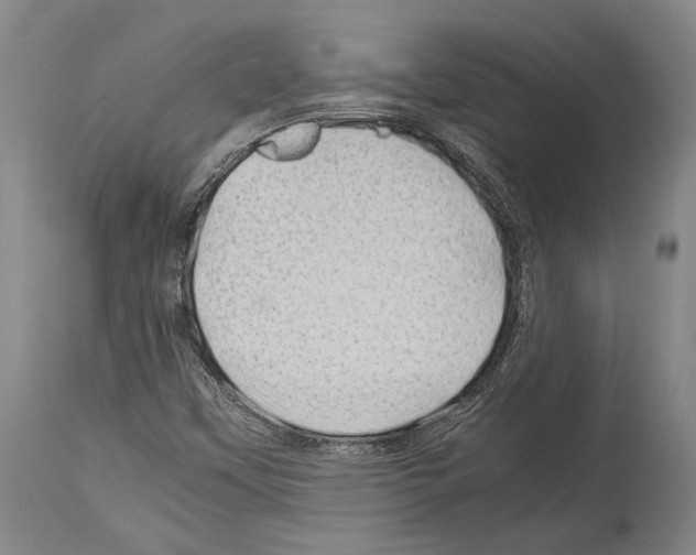 X0000113991451200911131107