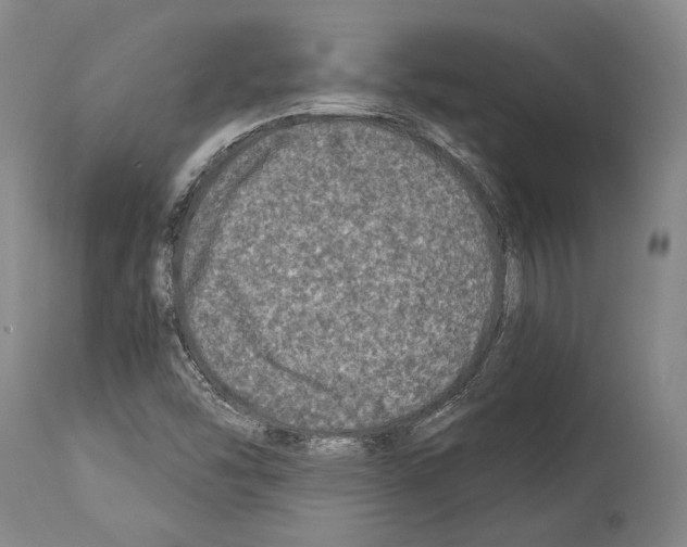 X0000113991454200911131107