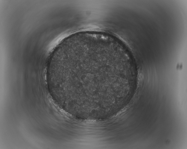 X0000113991455200911131107