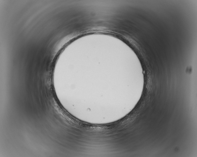 X0000113991458200911131107